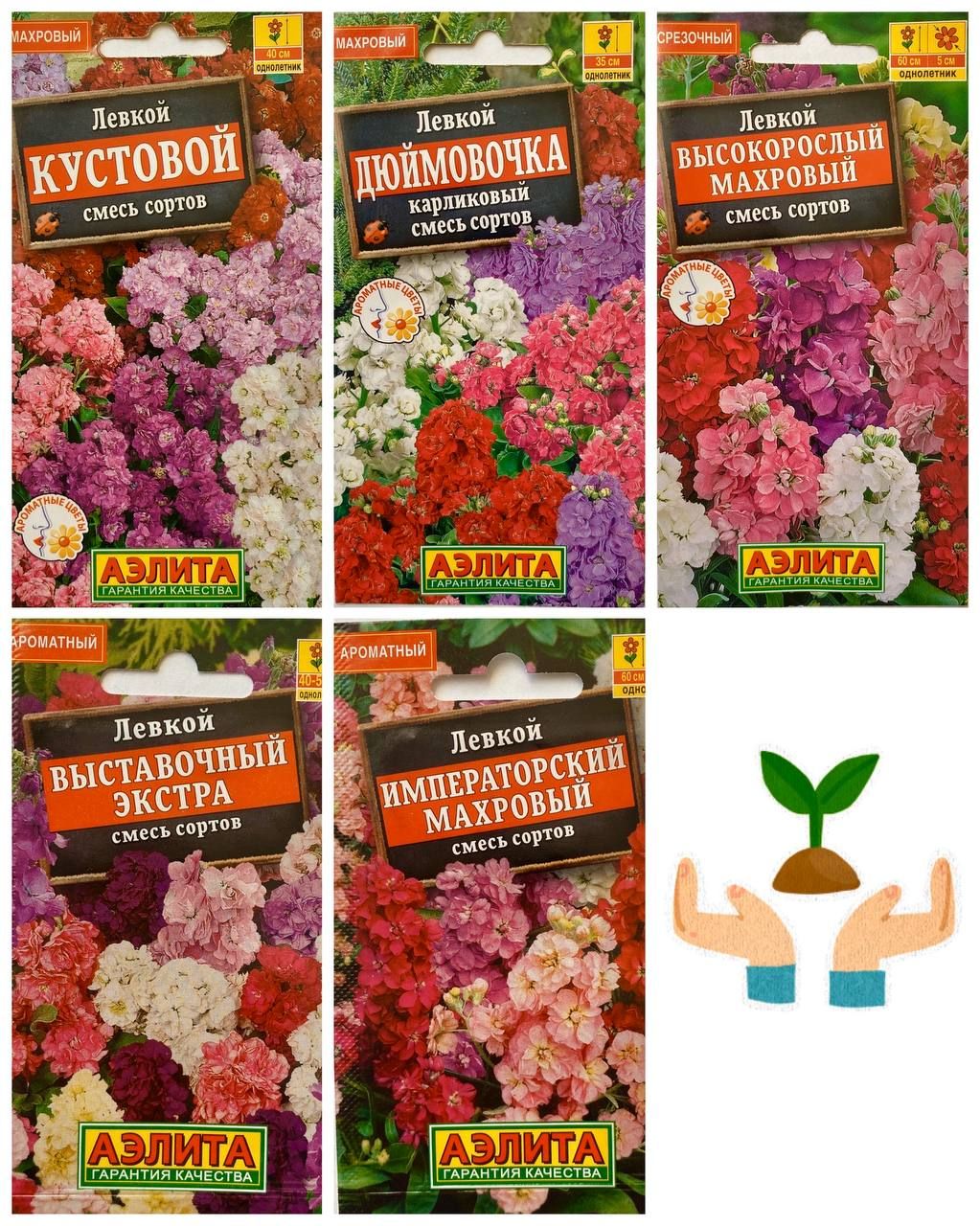 Левкой Кустовой, смесь сортов