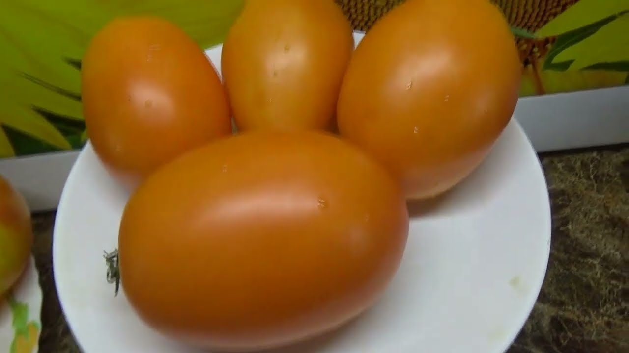 Семена Томат Ладья