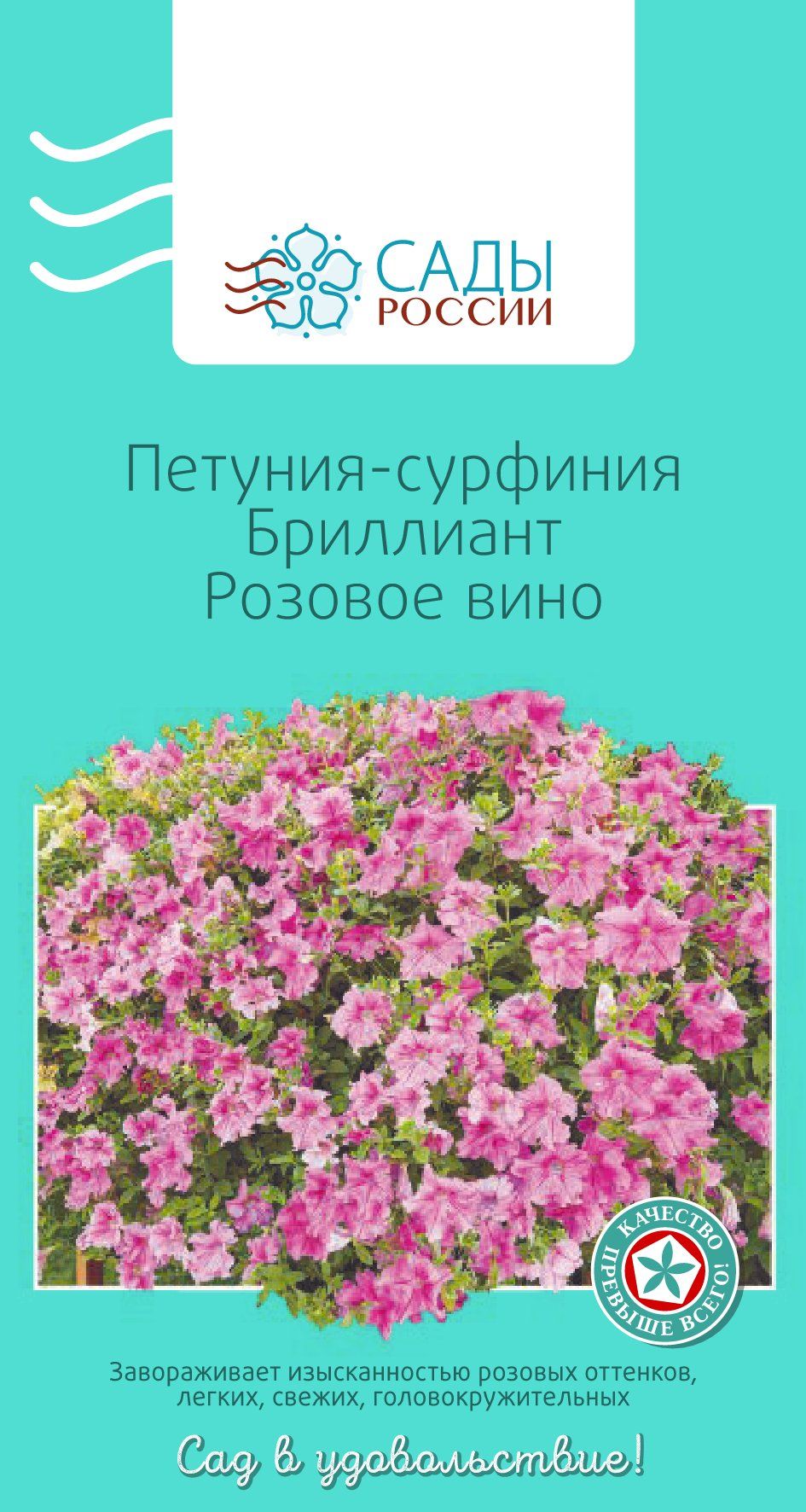 Петуния-сурфиния Бриллиант Розовое вино