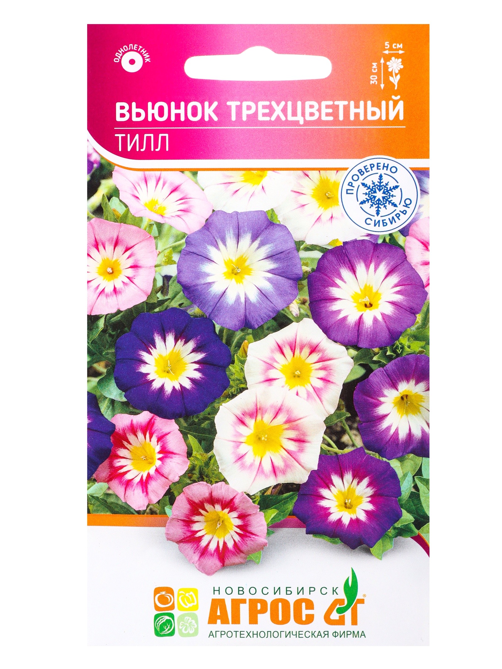 Семена Вьюнок Мамба трехцветный