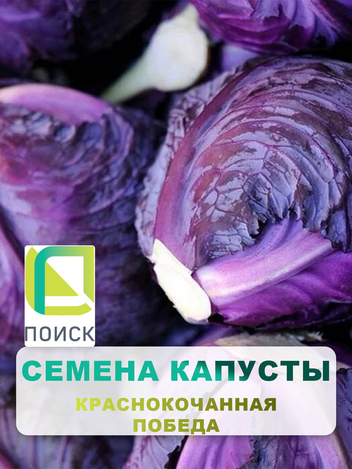 Семена Капуста краснокочанная Победа