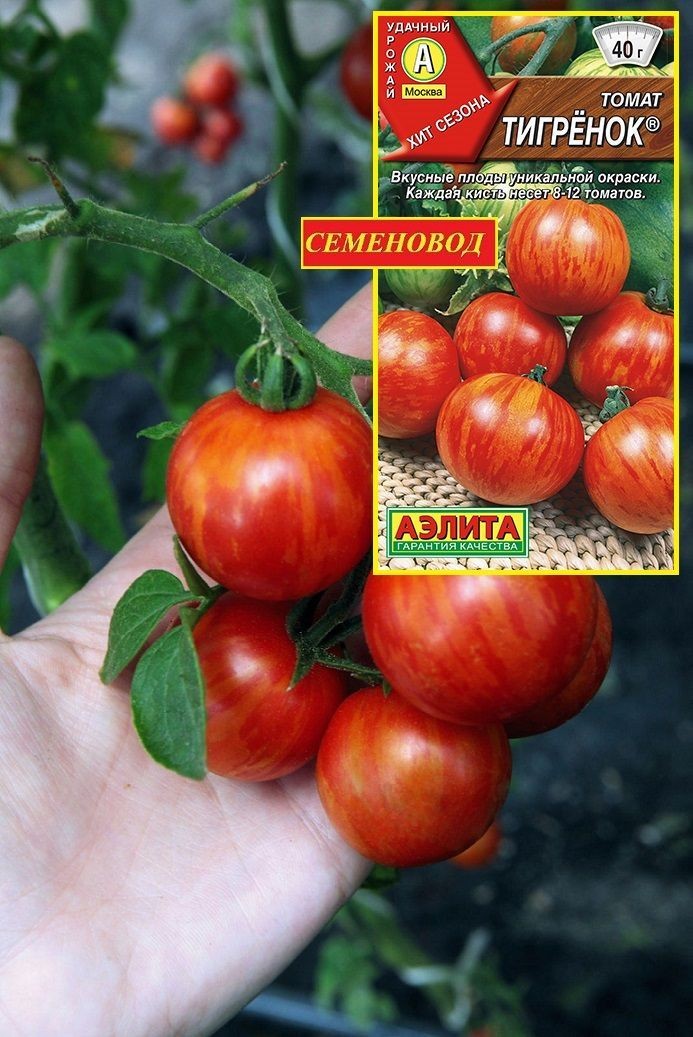 Семена Томат Тигренок